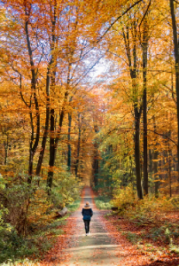 Walking