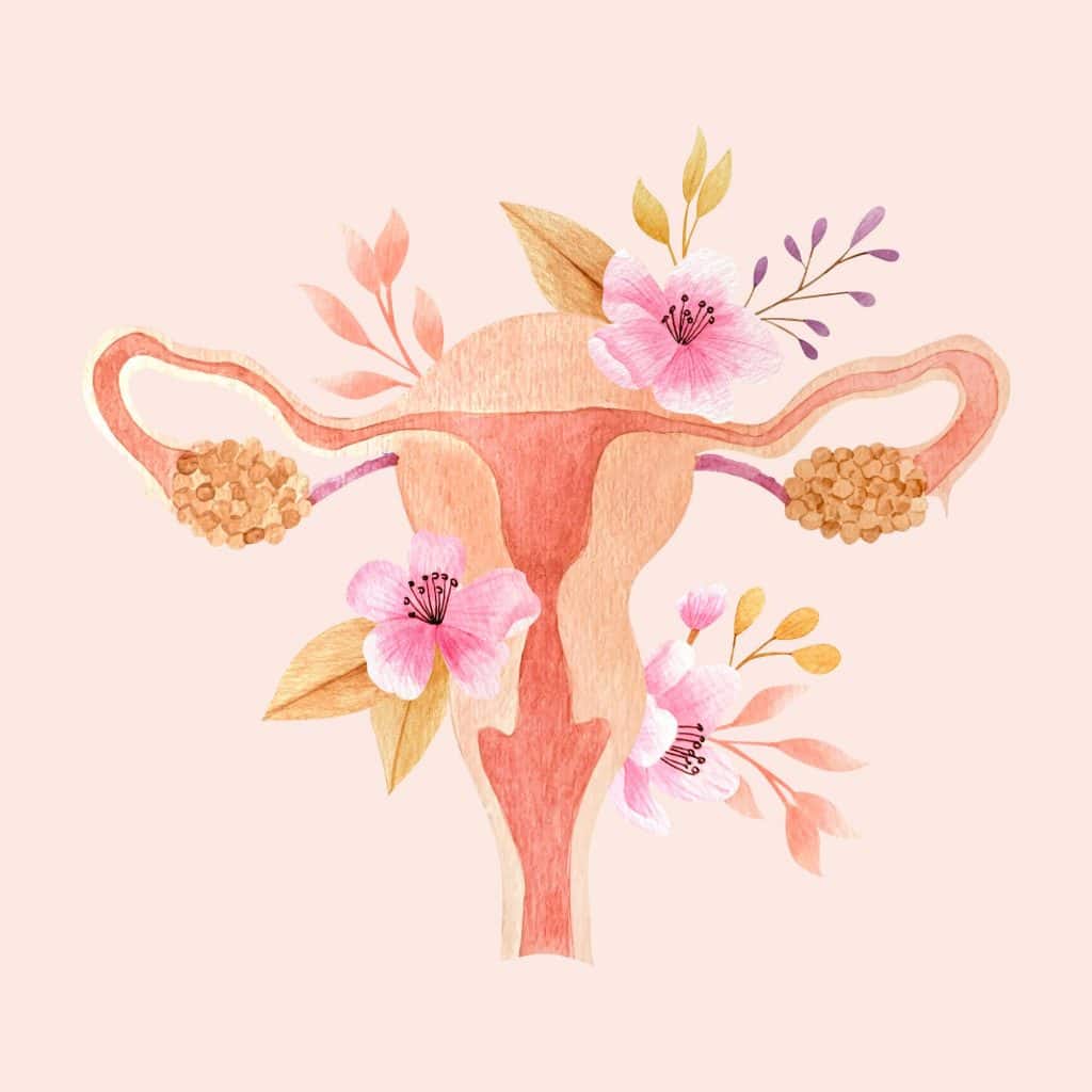Gynaecology scans for women - fertility image for women with flowers