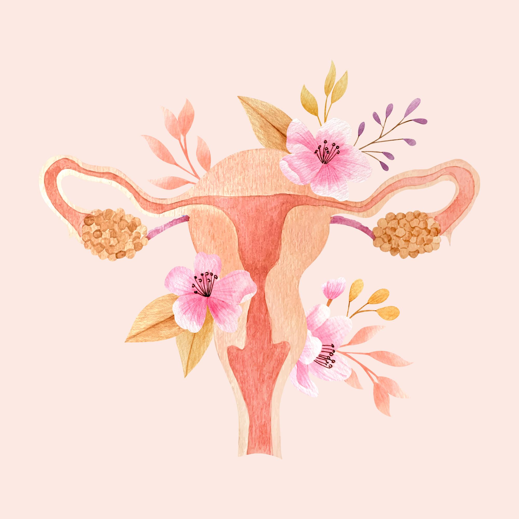 Gynaecology scans for women - fertility image for women with flowers