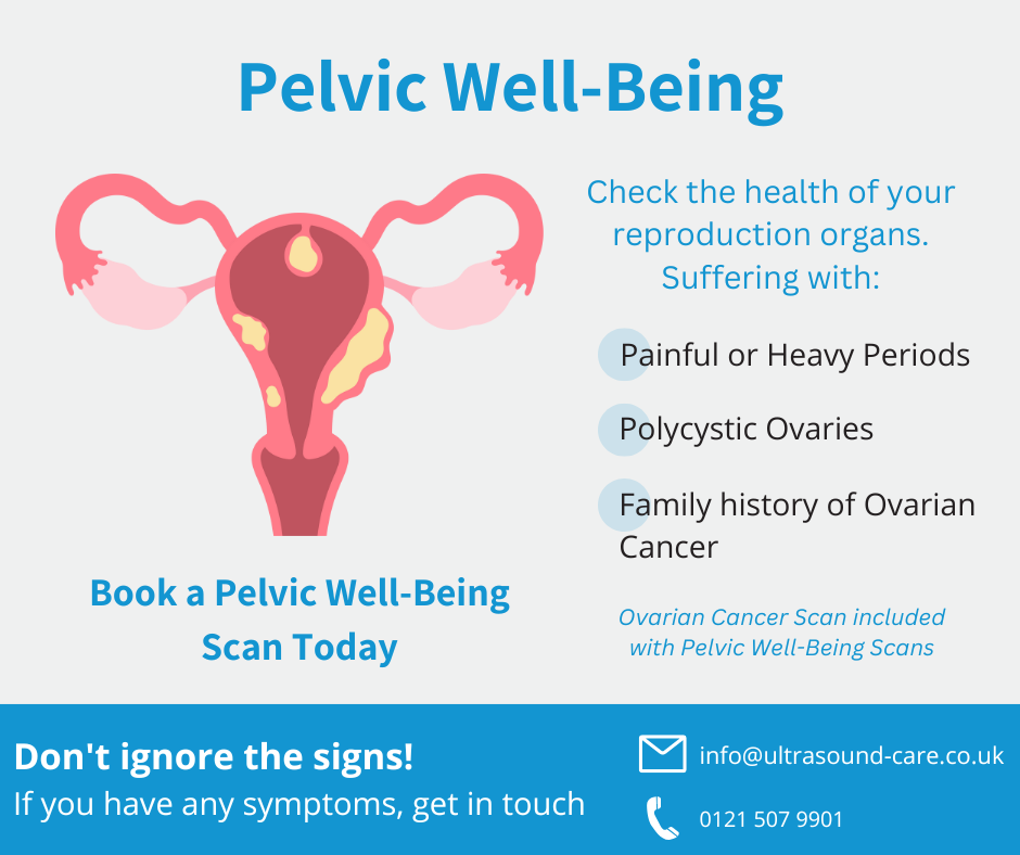 pelvic ultrasound scan