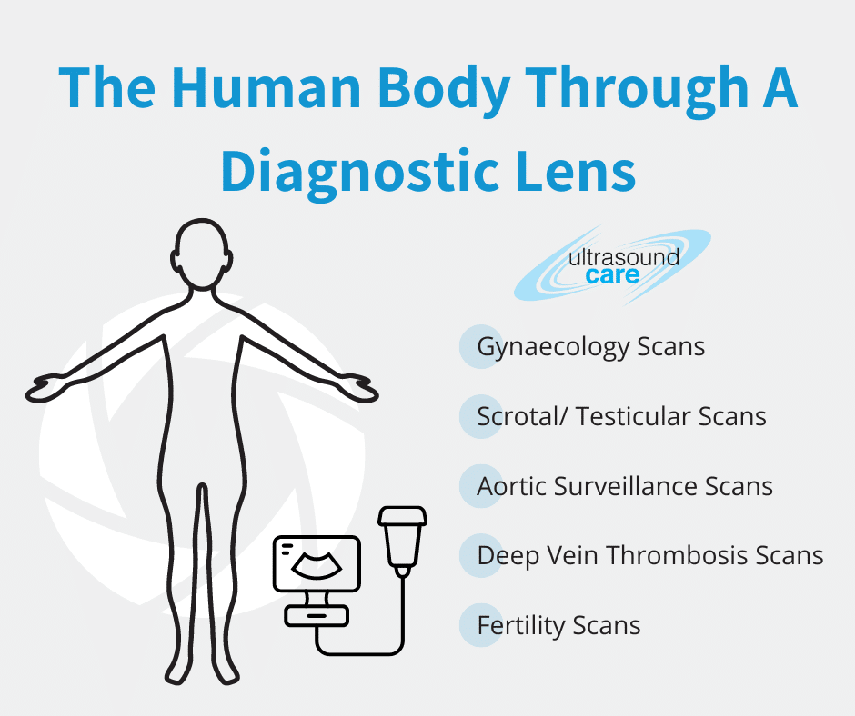 ultrasound care - the human body through a diagnostic lens