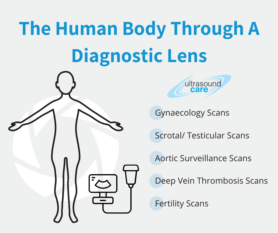the human body through a diagnostic lens ultrasound care - the human body through a diagnostic lens