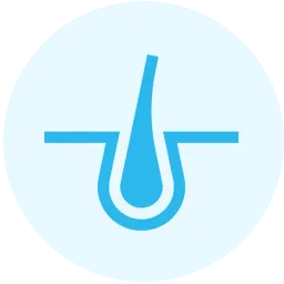Follicle Stimulating Hormone Blood Test (FSH) Icon