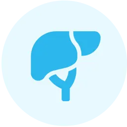 Liver Health Blood Test Icon